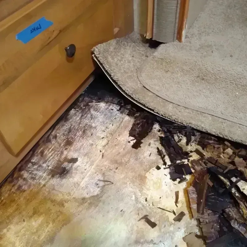 Wood Floor Water Damage in Tri-City, OR